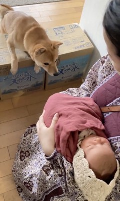 気になる匂い…