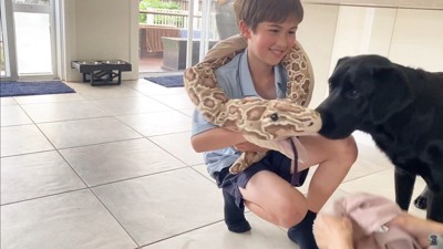 怒られる人形を見たえんぞう君の反応6