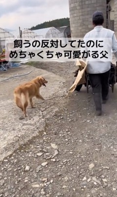 尻尾ブンブンッ