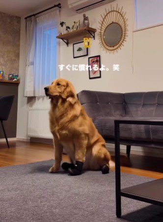 夏までには慣れようね♪