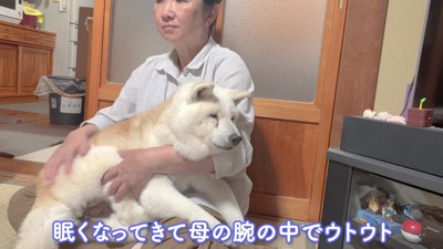 お母さんの膝の上でウトウト