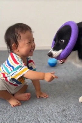 一緒に遊ぶヒマちゃんと赤ちゃん2