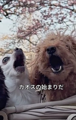 カオスの始まり