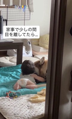 赤ちゃんをあやしてます