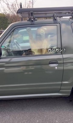 寂しがり屋すぎるトノくん5