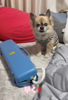 待ちきれない！