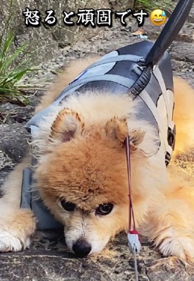 怒りん坊なところもカワイイ♡