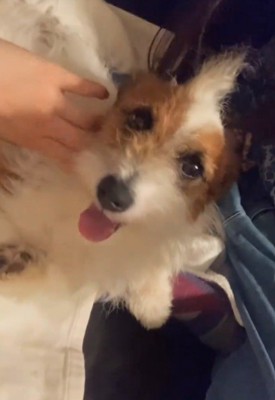 とっても幸せそう♡