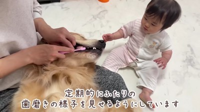 おからちゃんがお手本に！
