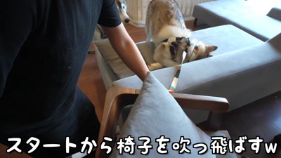 椅子に引っかかってしまう一幕も…