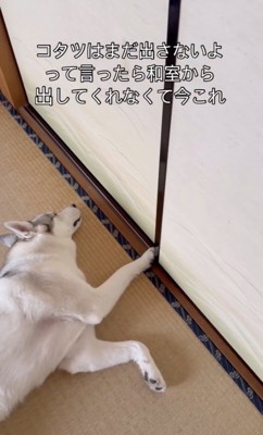 特大のかなしみ…