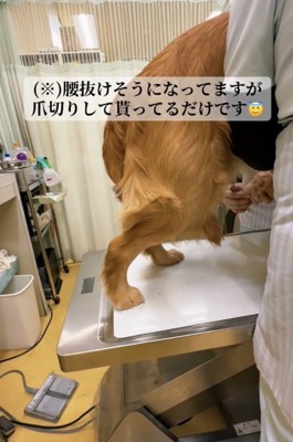 腰が抜けちゃいそう