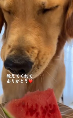 目を細める暖くん