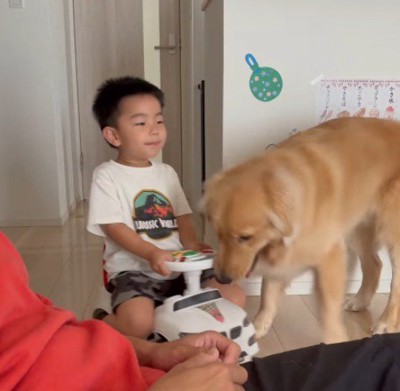 男の子が乗っている車のおもちゃに顔を近づける犬