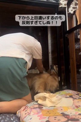 上目遣いのならちゃん