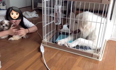 床に寝転ぶ人と寄り添う犬