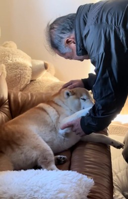 目を細めるるるちゃん