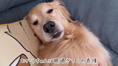 「もう限界…」