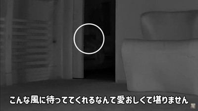 健気な姿にホッコリ