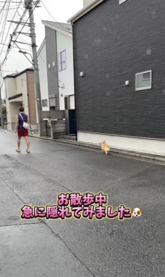 「たのしいねっ」