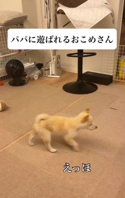 遊ばれてる…!?