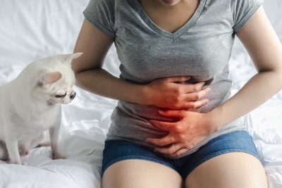 腹痛の女性と見つめる犬
