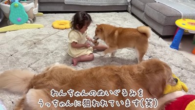 おもちゃで遊んでたら…