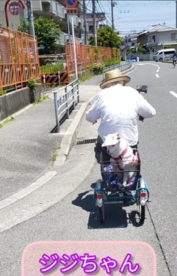 おじいちゃんと自転車に乗るすずちゃん5