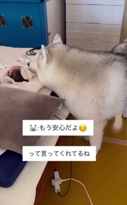 タオルをかけてあげることも…