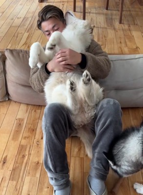 飼い主の膝の上で仰向けになる茶色い犬