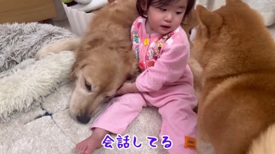 目と目で意思疎通