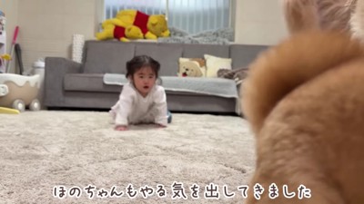 ルールを思い出したほのちゃん