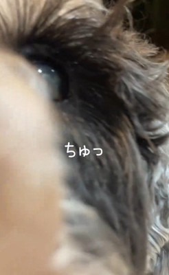 お風呂から出た時のポポちゃんの態度3