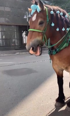 久しぶりに再会すると…