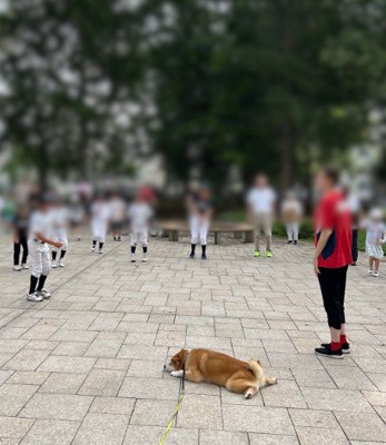 まさかの監視員!?