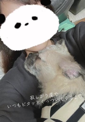 3歳になった姿に感動