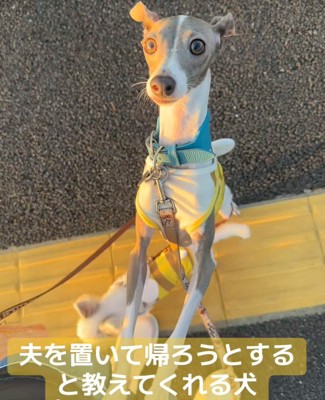 パパがいなくなったら…