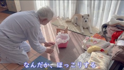 掃除をするおじいちゃんを見つめる犬