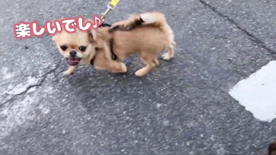 構ってもらえて大満足♪