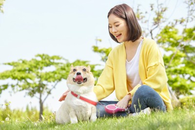 散歩中の犬と女性
