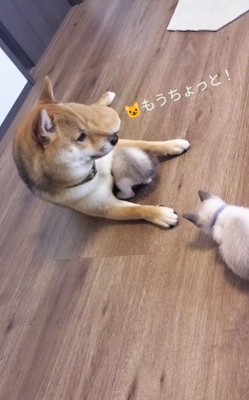 「そろそろ代わって~」