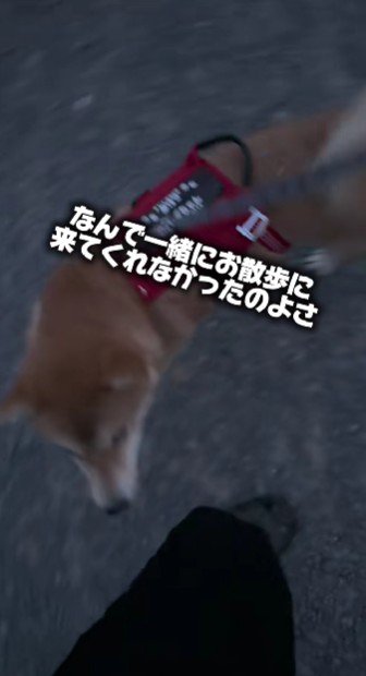 「もっと早く来てよ~」