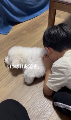 だんだん落ち着いてきました