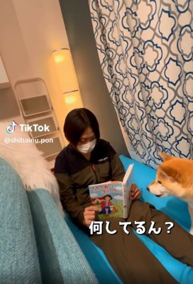 近寄ってきたポンさん