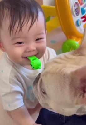 しろちゃんが来た♡