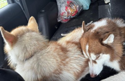 ルディちゃんと仲良しに