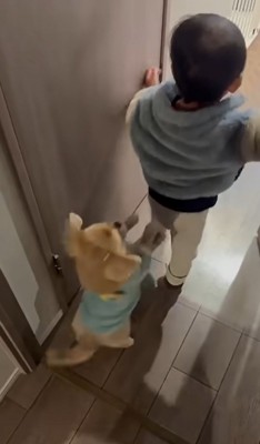 駆け寄るハナちゃん