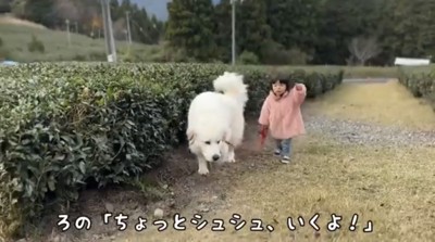 前を指さす子どもとついていく犬