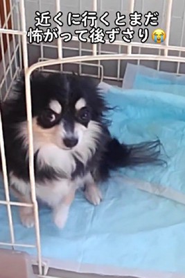 笑顔で話しかけた結果…