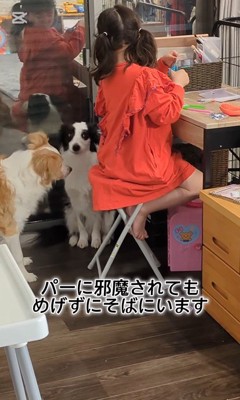 作業中のお姉ちゃんとアグちゃん5